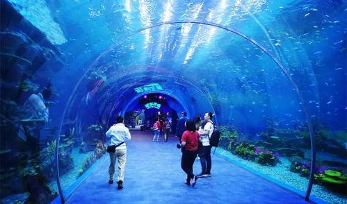 水上公园爆料视频播放,欢乐视频引网友热议 第2张 水上公园爆料视频播放,欢乐视频引网友热议 第2张