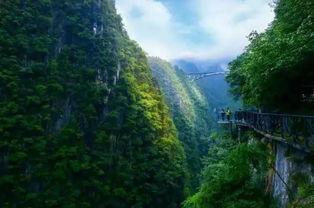 黔江最新爆料电话,揭秘背后惊人内幕 第2张 黔江最新爆料电话,揭秘背后惊人内幕 第2张