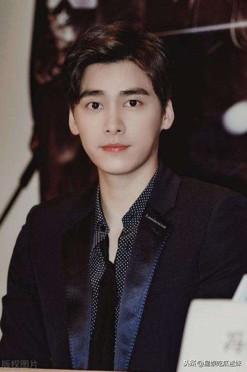 娱乐圈八卦吃瓜爆料鹿晗,揭秘明星背后的八卦真相  第2张